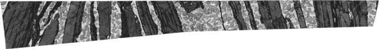 徕卡显微镜高品质的样品制备的EBSD分析宽离子束研磨