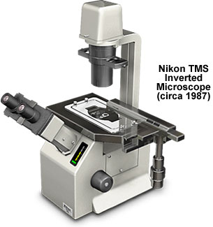 尼康显微镜早期的TMS倒置显微镜