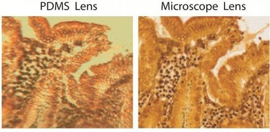 巧用烘箱技术：研究人员打造出成本仅1美分的显微镜镜头