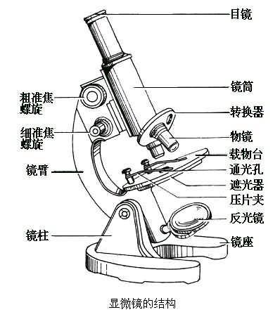 电子显微镜部位名称图片