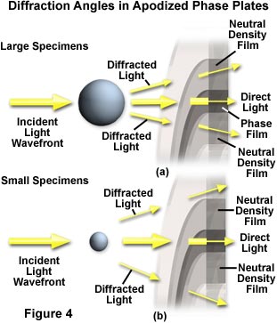 尼康显微镜减少光晕与变迹相衬