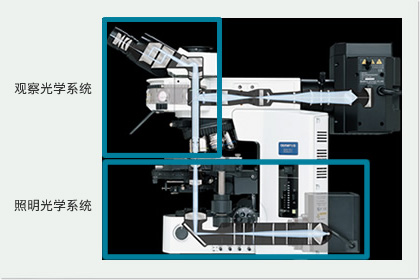 光学显微镜介绍