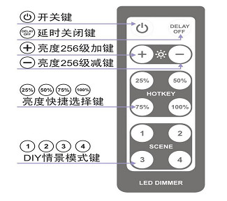 LED-10PMW型冷光源