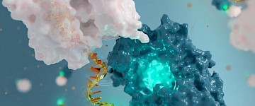 化学家使用DNA建造世界上最小的天线——实现了双向无线电功能